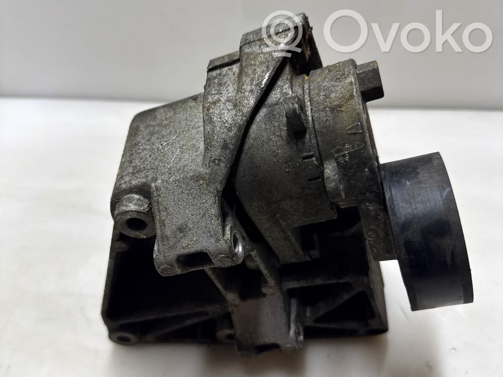 BMW 3 E46 Generator/alternator belt tensioner 