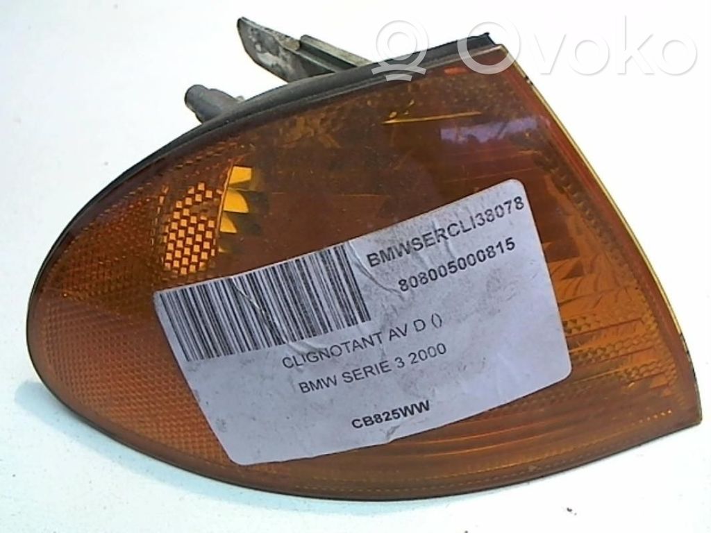 BMW 3 E46 Front fender indicator light 