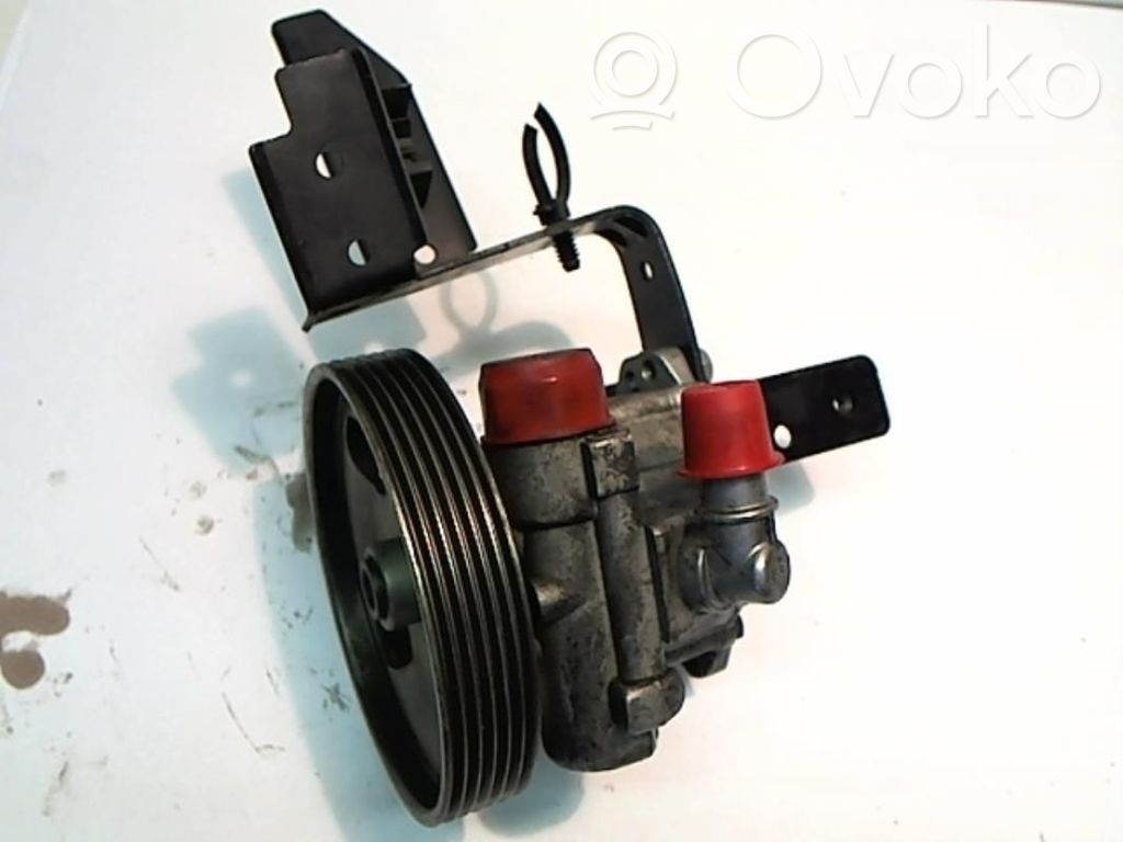 Power steering pump   4007EP,CITC8POM50980