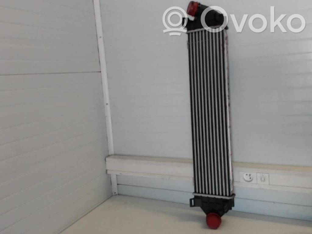 Ford C-MAX I Radiatore intercooler 