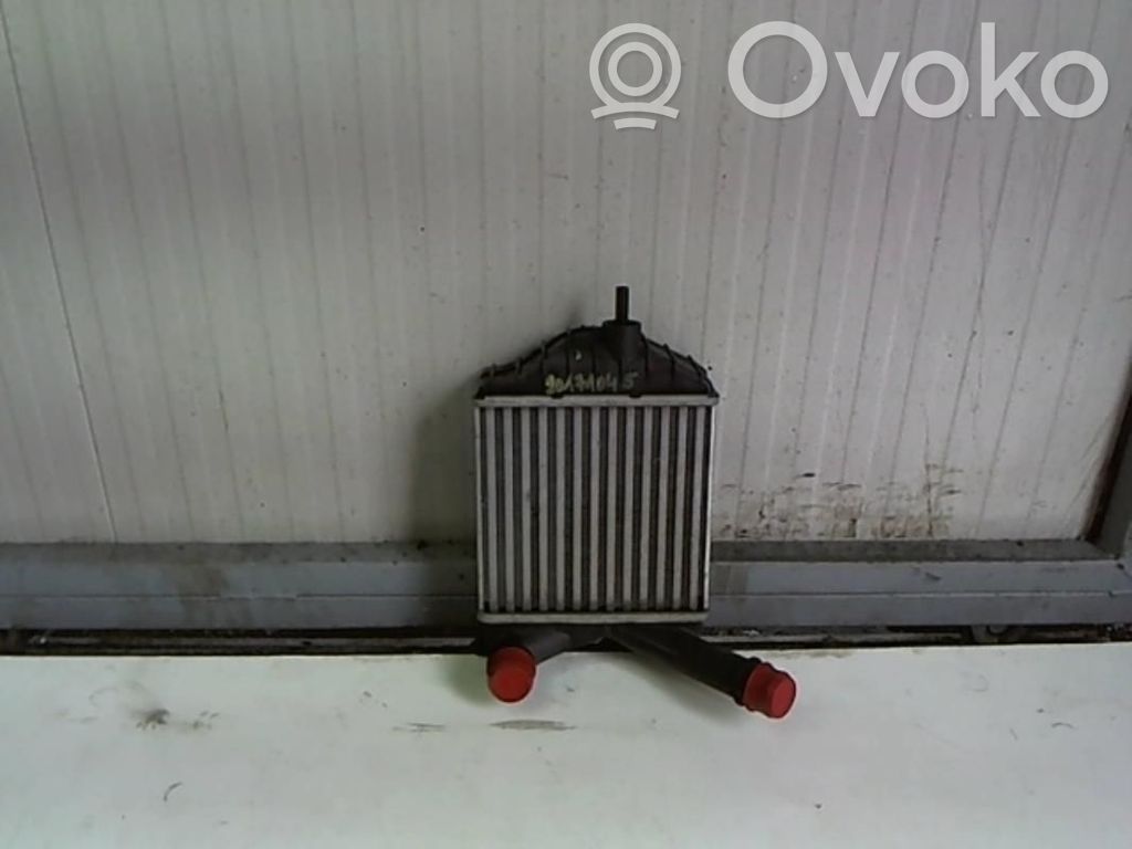 Intercooler radiator