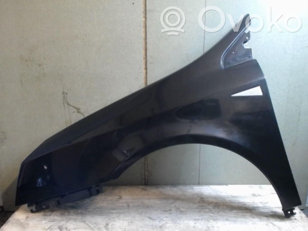 Renault Vel Satis Sparnas 