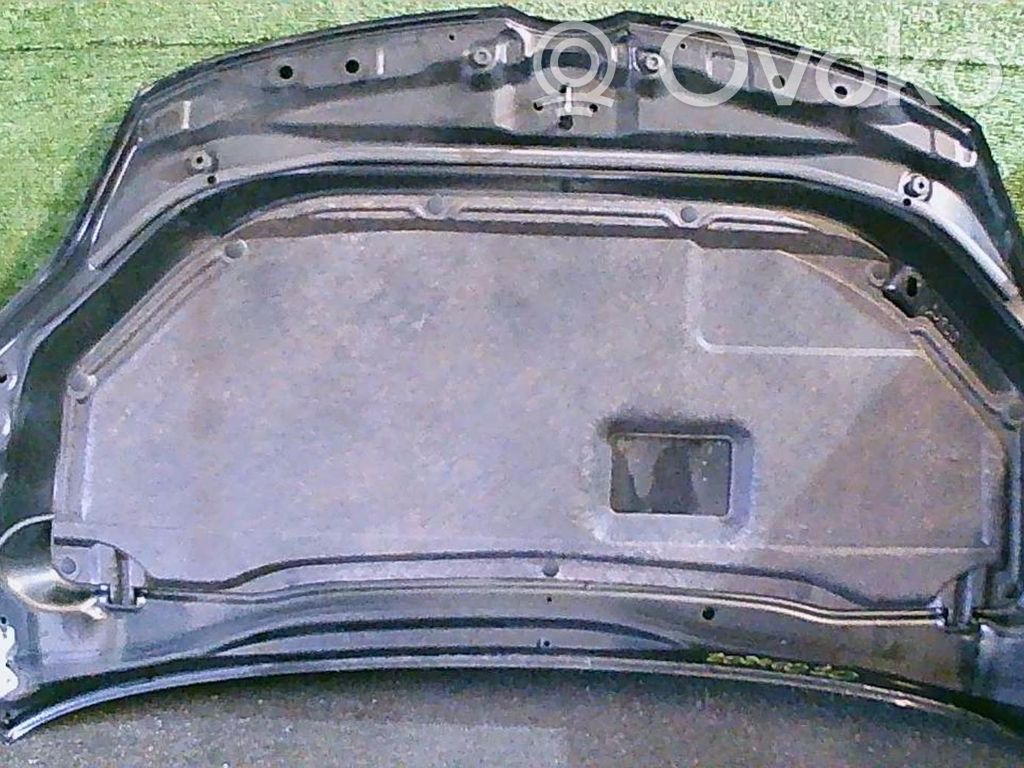 Konepelti   C2Y55231XA