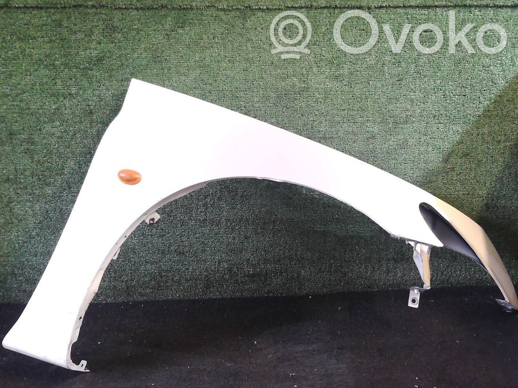 Guardabarro   5015486AG