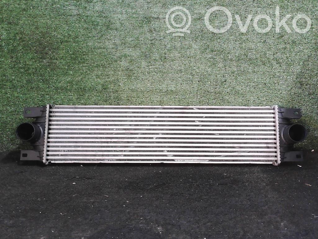 Intercooler radiator   7701057121