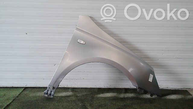 Guardabarro   663214D030