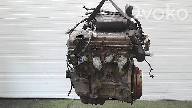 Silnik   1110054GE3000