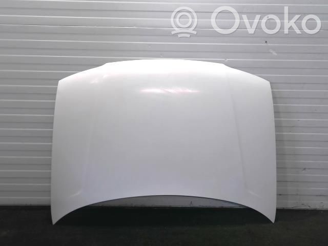 Konepelti   7901G0