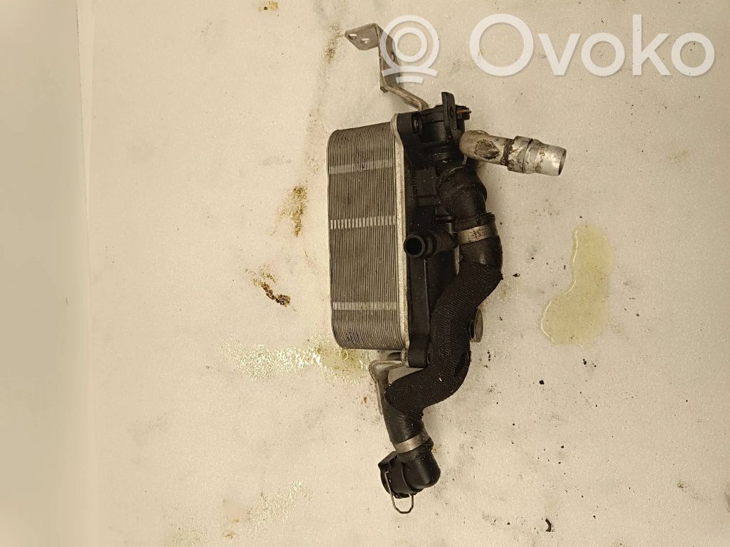 BMW 6 F06 Gran coupe Supporto di montaggio del filtro dell’olio 