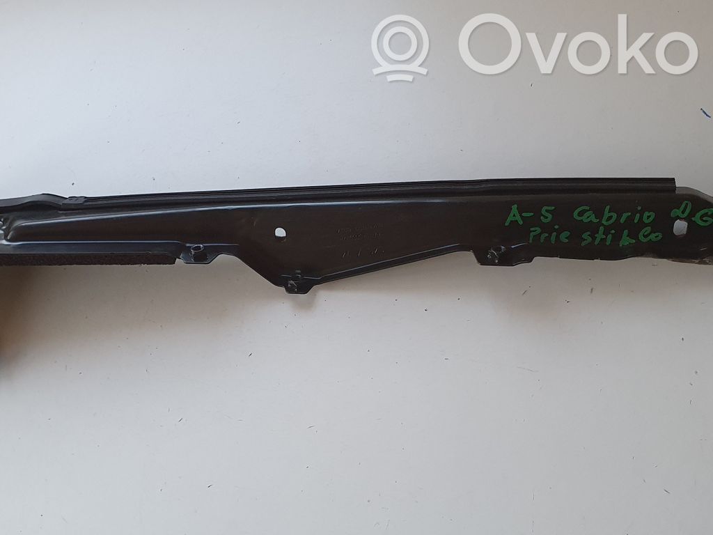 Audi A5 Gummidichtung Fenster Scheibe Tür hinten 