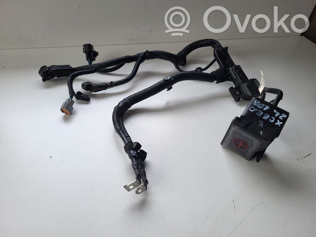 KIA Xceed Cable positivo (batería) 