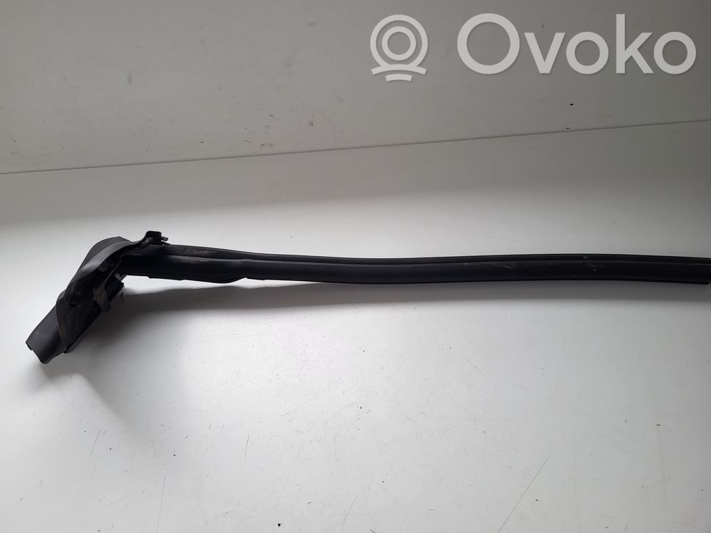Audi A5 Gummidichtung Fenster Scheibe Tür hinten 