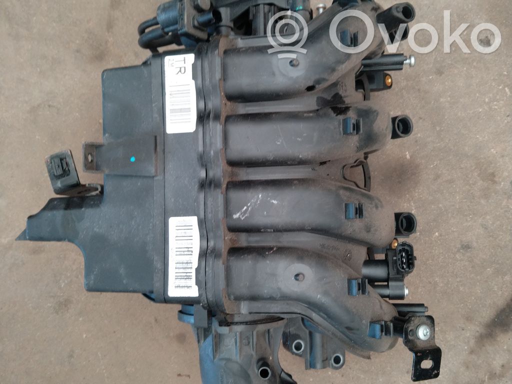 Imusarja   55578687