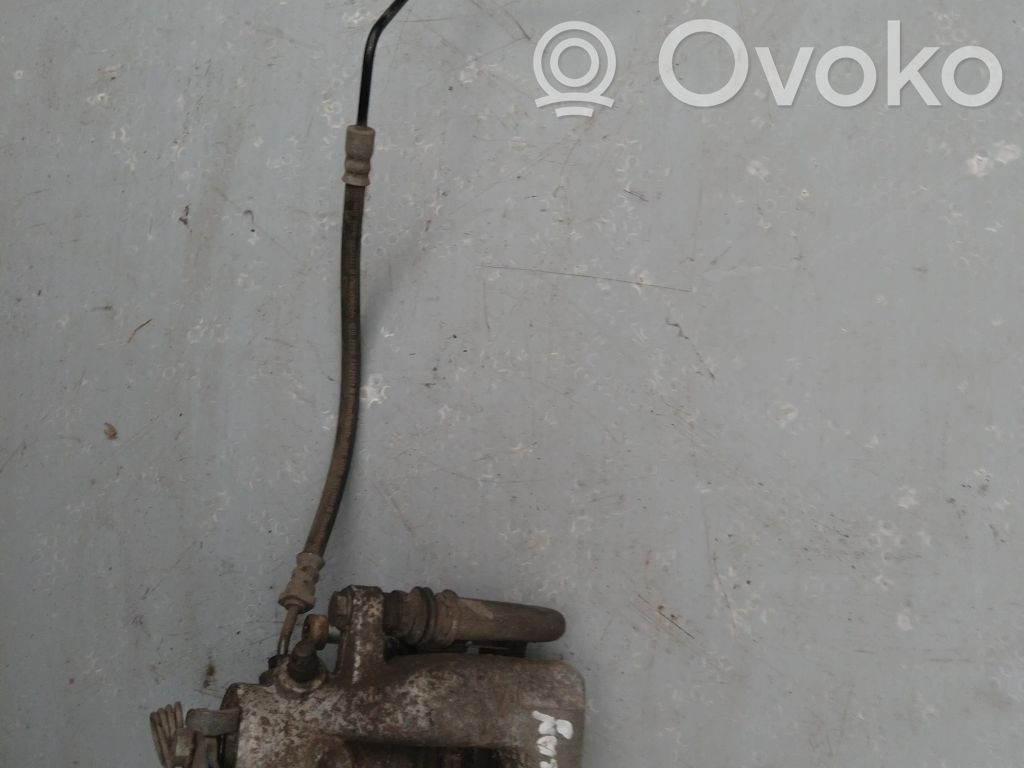 Takajarrusatula   32055430