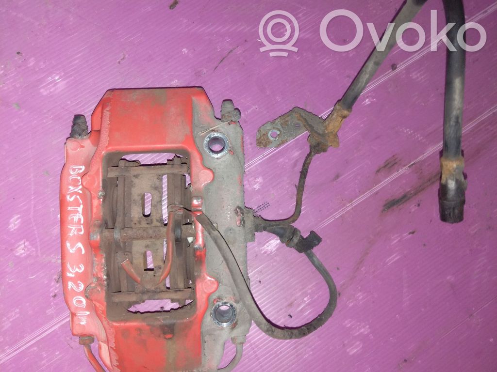 Takajarrusatula   996352422