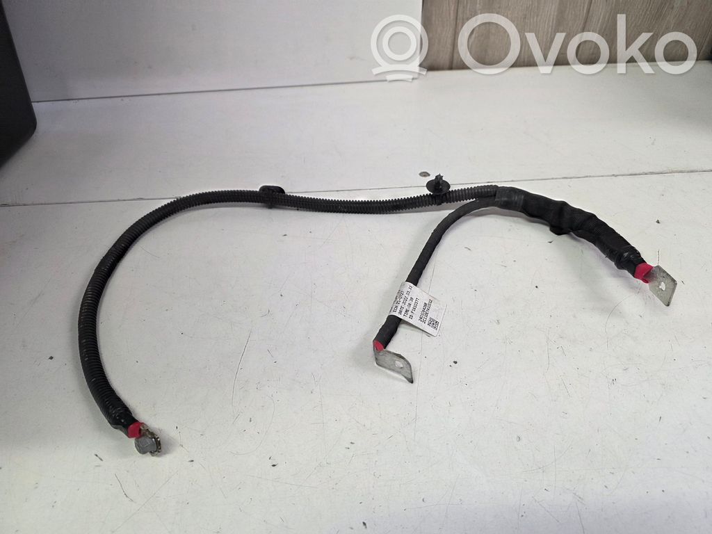 Renault Arkana Cable negativo de tierra (batería) 