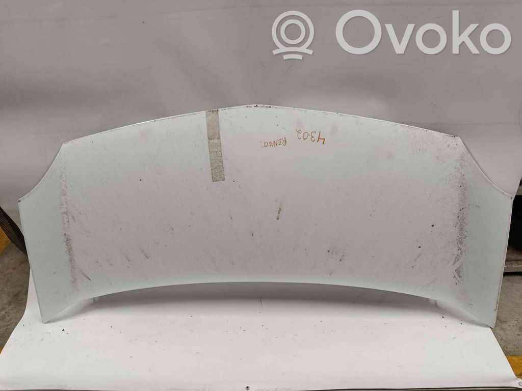 Engine bonnet/hood