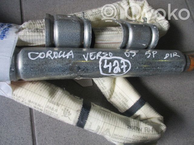 Airbag del techo   621700F010RH,DRT