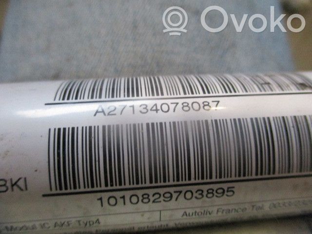Airbag del techo   A27134078087