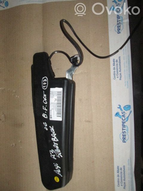Sitz-Airbag   8P4880242B,DRT