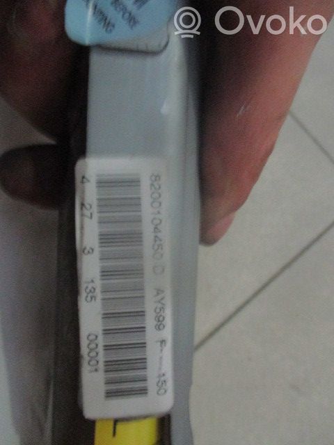 Airbag del techo   8200104450D,ESQ