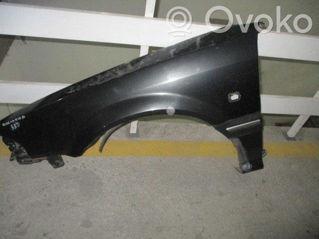 Rover Rover Parafango 