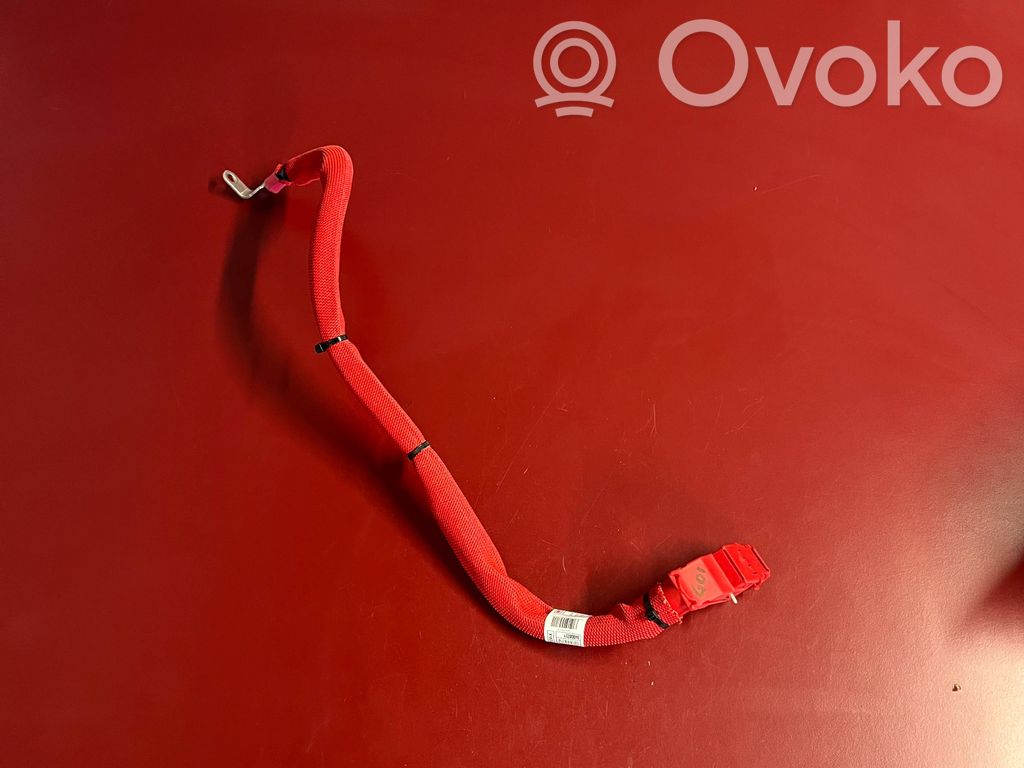 BMW X3 G01 Cable positivo (batería) 