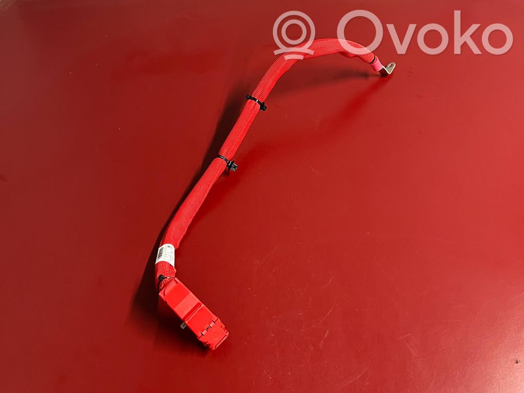 BMW X3 G01 Cable positivo (batería) 