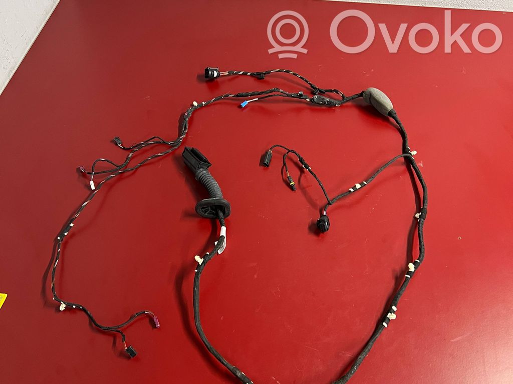 BMW X3 G01 Cableado de puerta trasera 