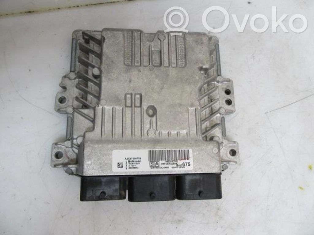 Citroen C4 Grand Picasso Other control units/modules 