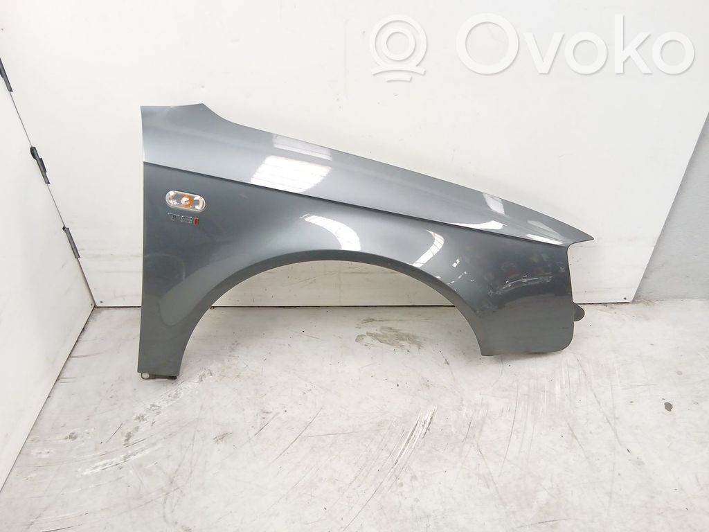 Guardabarro   3R0821022B