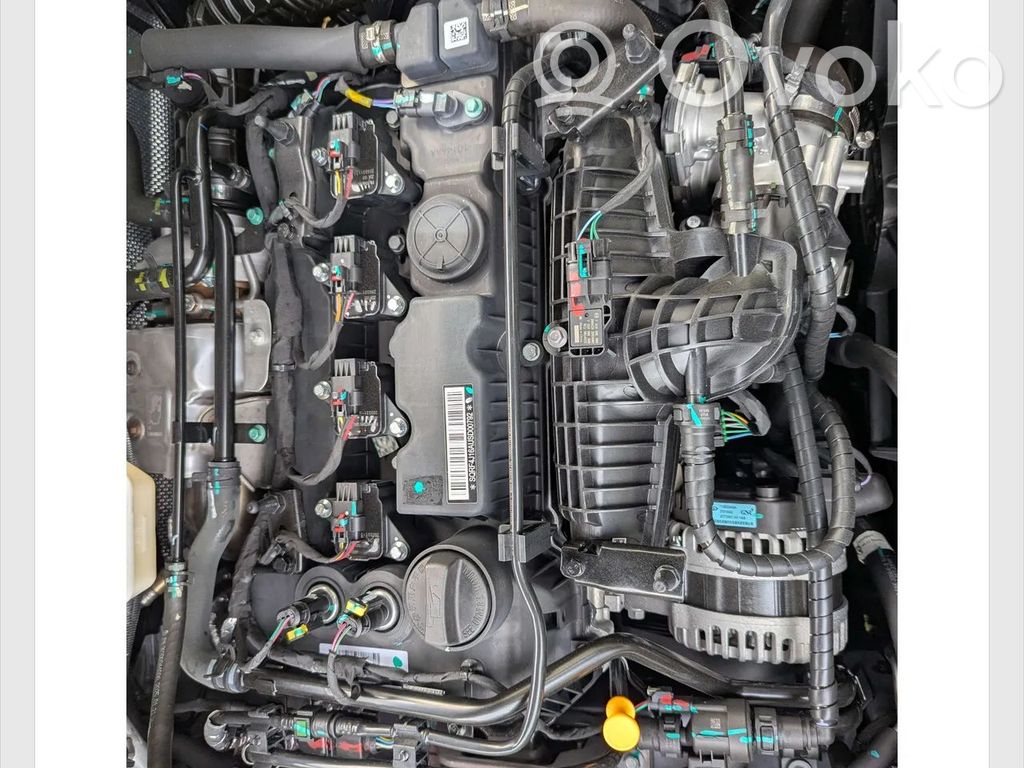Motor   SQRF4J16,T34NOBLE