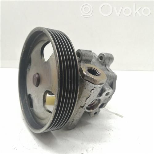 Power steering pump   256C3A696DC