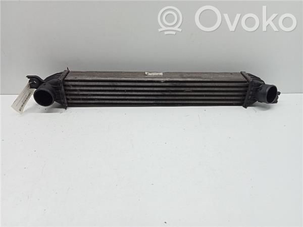 Mini One - Cooper R56 Intercooler radiator 