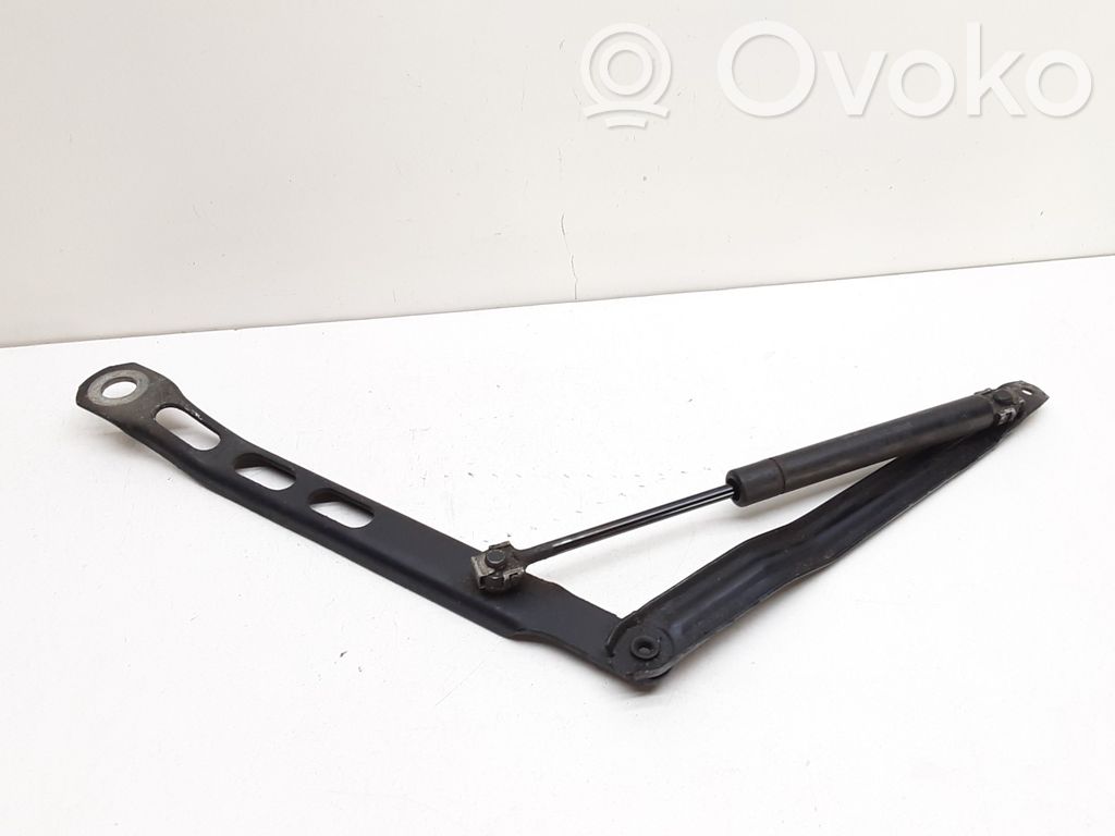 Tailgate/trunk/boot hinge