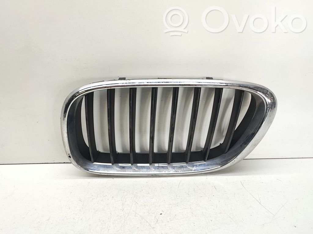 BMW X5 E53 Front bumper upper radiator grill 