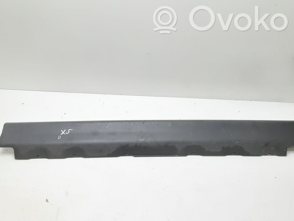 BMW X5 E53 Sill 