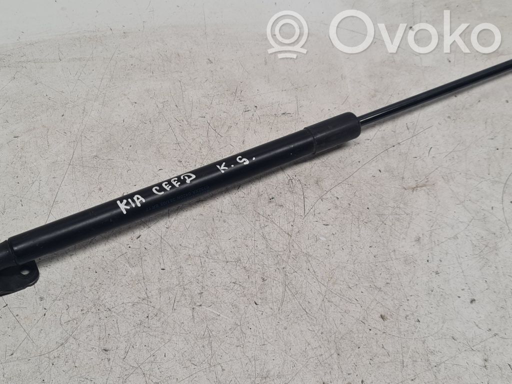 KIA Pro Cee'd I Tailgate/trunk strut/damper 