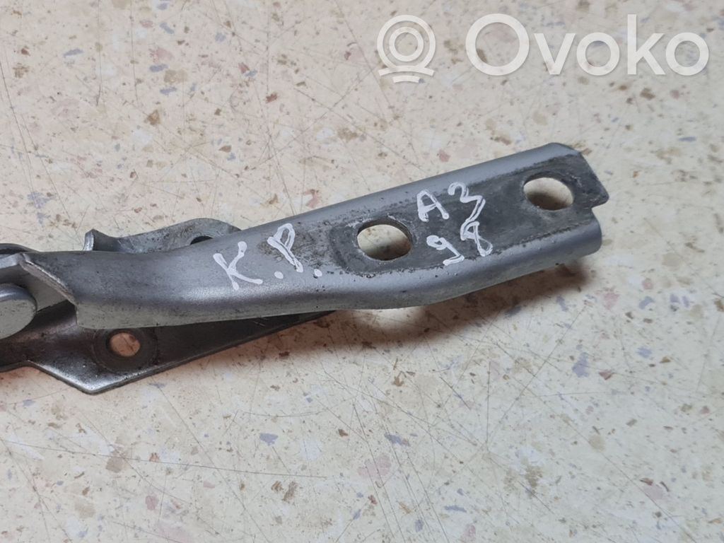Audi A3 S3 8L Engine bonnet/hood hinges 
