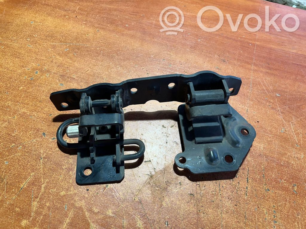 Front door hinges set   0009733V005
