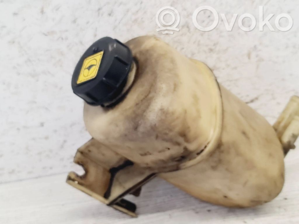 Fiat Multipla Vairo stiprintuvo skysčio bakelis 