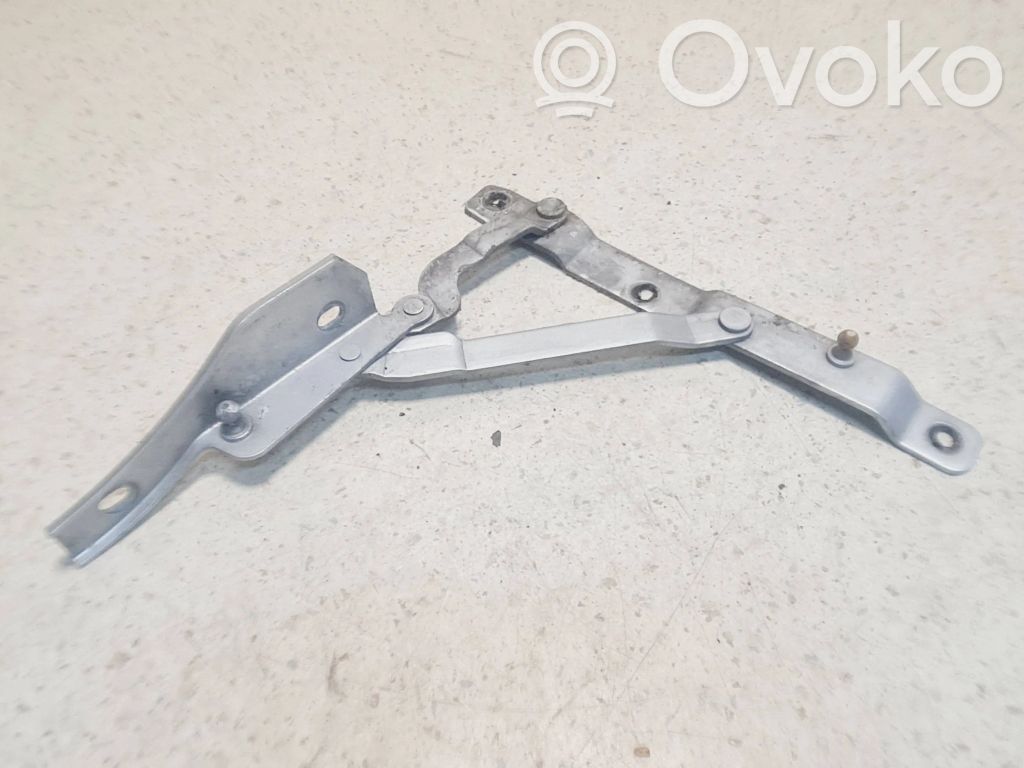 Tailgate/trunk/boot hinge   12425