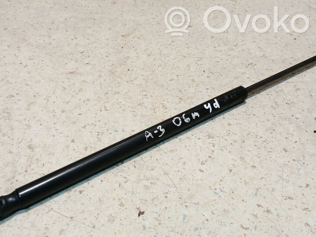 Audi A3 S3 A3 Sportback 8P Tailgate/trunk strut/damper 