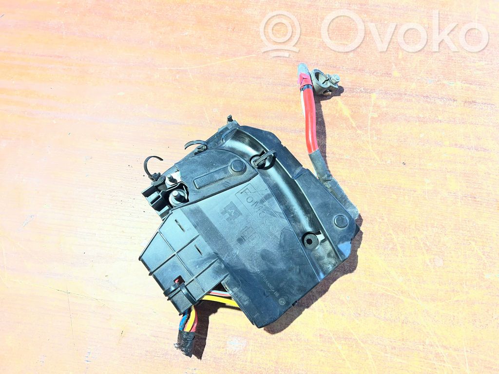 Ford Focus Positive wiring loom 