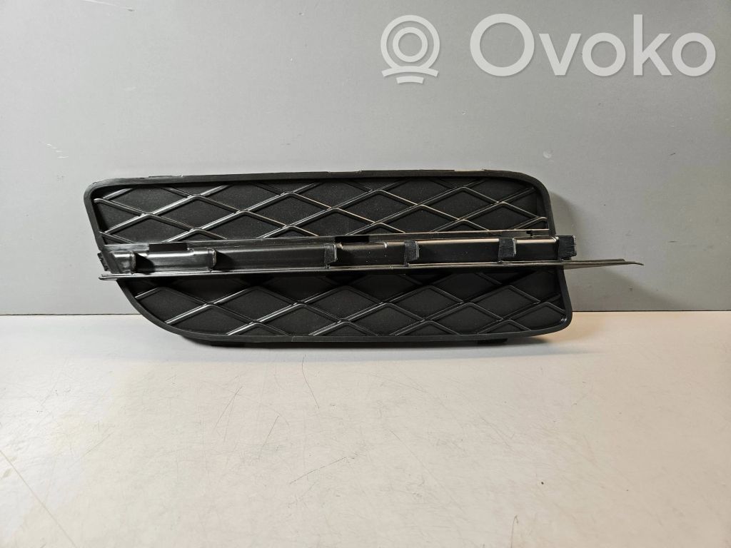 Front bumper lower grill   7159594,51117159594