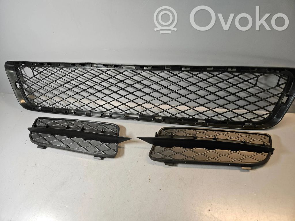 BMW X5 E70 Front bumper lower grill 