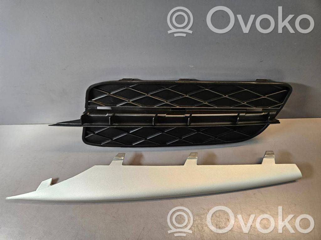 BMW X5 E70 Front bumper lower grill 
