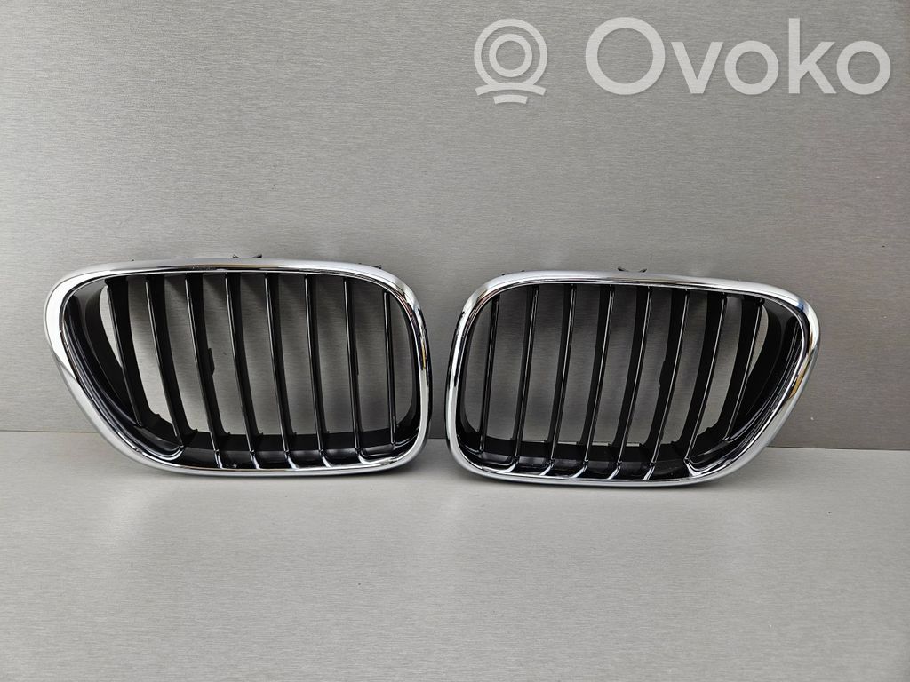 BMW X5 E53 Front bumper upper radiator grill 