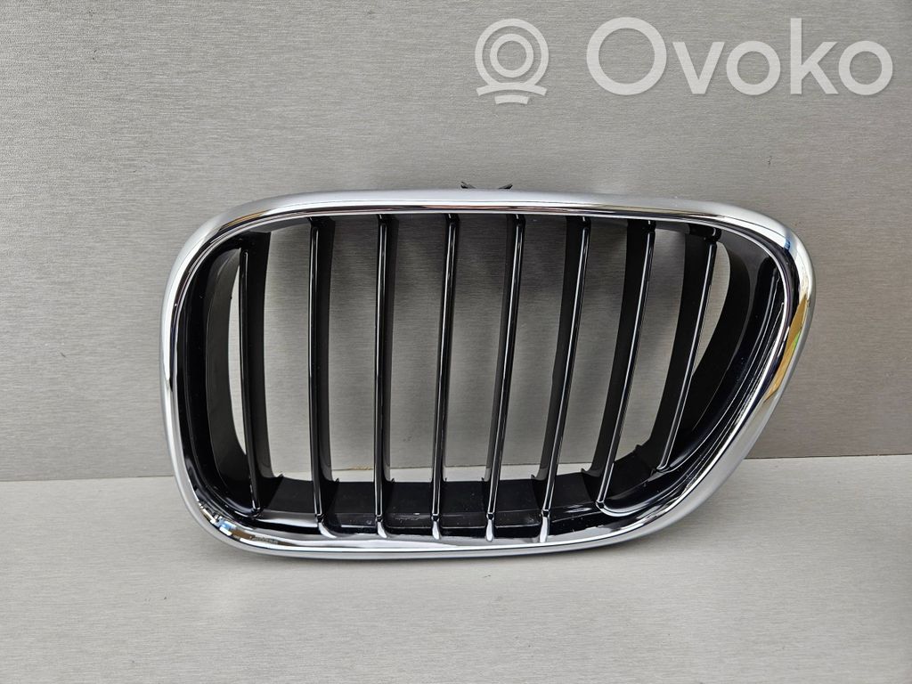 BMW X5 E53 Front bumper upper radiator grill 