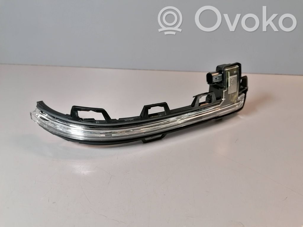 BMW X3 G01 Mirror indicator light 